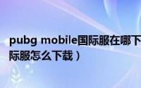 pubg mobile国际服在哪下载（刺激战场 PUBG Mobile国际服怎么下载）