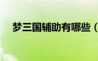 梦三国辅助有哪些（梦三国辅助怎么打）