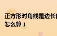 正方形对角线是边长的多少倍（正方形对角线怎么算）