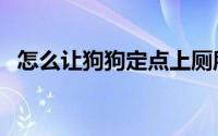 怎么让狗狗定点上厕所（怎么让狗狗开心）