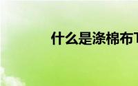 什么是涤棉布T/C坯布口袋布