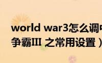 world war3怎么调中文（WarcraftIII 魔兽争霸III 之常用设置）