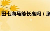 田七海马能长高吗（增高田七炖海马的做法）
