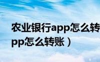 农业银行app怎么转账服刑人员（农业银行app怎么转账）