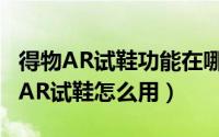 得物AR试鞋功能在哪里（得物AR试鞋在哪里AR试鞋怎么用）