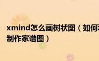 xmind怎么画树状图（如何利用XMind软件中树状图(向右)制作家谱图）