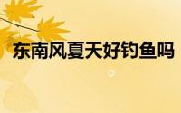 东南风夏天好钓鱼吗（DNF心跳回忆攻略）