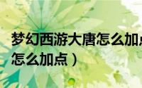 梦幻西游大唐怎么加点最合适（梦幻西游大唐怎么加点）