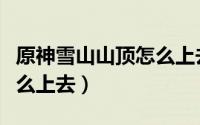 原神雪山山顶怎么上去图解（原神雪山山顶怎么上去）