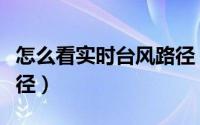 怎么看实时台风路径（如何查看米克拉台风路径）
