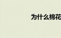 为什么棉花会有彩色的