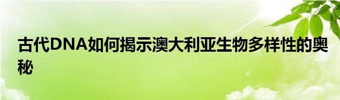 古代DNA如何揭示澳大利亚生物多样性的奥秘