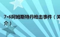 7·6阿姆斯特丹枪击事件（关于7·6阿姆斯特丹枪击事件的简介）