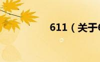 611（关于611的简介）