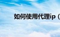 如何使用代理ip（如何使用代理IP）