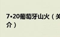 7·20葡萄牙山火（关于7·20葡萄牙山火的简介）