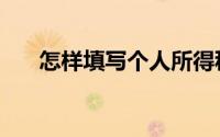 怎样填写个人所得税（怎样填写总账）