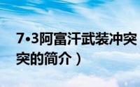 7·3阿富汗武装冲突（关于7·3阿富汗武装冲突的简介）