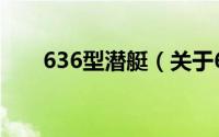 636型潜艇（关于636型潜艇的简介）