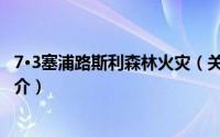 7·3塞浦路斯利森林火灾（关于7·3塞浦路斯利森林火灾的简介）
