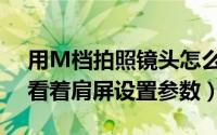 用M档拍照镜头怎么调（佳能使用M档怎么看着肩屏设置参数）