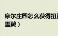 摩尔庄园怎么获得扭蛋币（摩尔庄园怎么获得雪獭）
