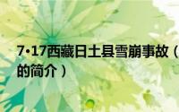 7·17西藏日土县雪崩事故（关于7·17西藏日土县雪崩事故的简介）