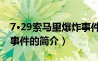 7·29索马里爆炸事件（关于7·29索马里爆炸事件的简介）