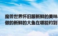 魔兽世界怀旧服新鲜的美味小鱼在哪钓（魔兽世界烹饪275做的新鲜的大鱼在哪能钓到）