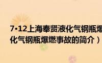 7·12上海奉贤液化气钢瓶爆燃事故（关于7·12上海奉贤液化气钢瓶爆燃事故的简介）