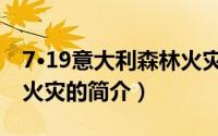 7·19意大利森林火灾（关于7·19意大利森林火灾的简介）