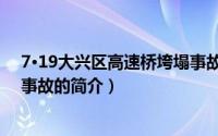 7·19大兴区高速桥垮塌事故（关于7·19大兴区高速桥垮塌事故的简介）