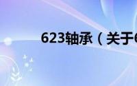 623轴承（关于623轴承的简介）