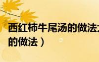 西红柿牛尾汤的做法大全窍门（西红柿牛尾汤的做法）