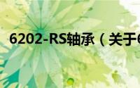 6202-RS轴承（关于6202-RS轴承的简介）