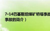 7·14巴基斯坦煤矿坍塌事故（关于7·14巴基斯坦煤矿坍塌事故的简介）