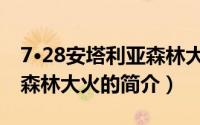 7·28安塔利亚森林大火（关于7·28安塔利亚森林大火的简介）