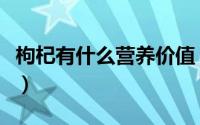 枸杞有什么营养价值（枸杞的健康营养有什么）