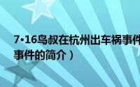 7·16鸟叔在杭州出车祸事件（关于7·16鸟叔在杭州出车祸事件的简介）