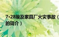 7·28埃及家具厂火灾事故（关于7·28埃及家具厂火灾事故的简介）