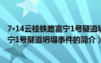 7·14云桂铁路富宁1号隧道坍塌事件（关于7·14云桂铁路富宁1号隧道坍塌事件的简介）