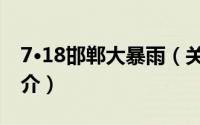 7·18邯郸大暴雨（关于7·18邯郸大暴雨的简介）
