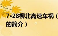 7·28柳北高速车祸（关于7·28柳北高速车祸的简介）