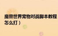 魔兽世界宠物对战脚本教程（魔兽世界宠物对战新手小汤米怎么打）