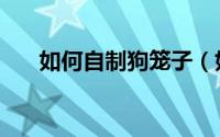 如何自制狗笼子（如何自制狗窝讲解）