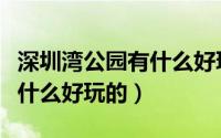 深圳湾公园有什么好玩的地方（深圳湾公园有什么好玩的）