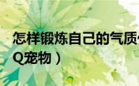 怎样锻炼自己的气质仪态（怎样登陆自己的QQ宠物）