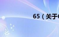 65（关于65的简介）