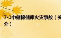 7·1中储棉储库火灾事故（关于7·1中储棉储库火灾事故的简介）