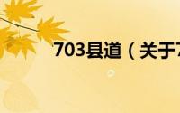 703县道（关于703县道的简介）